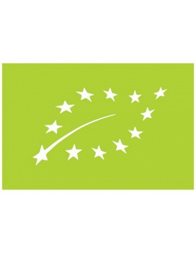 Birch Sap Ginger and Lime 1 L