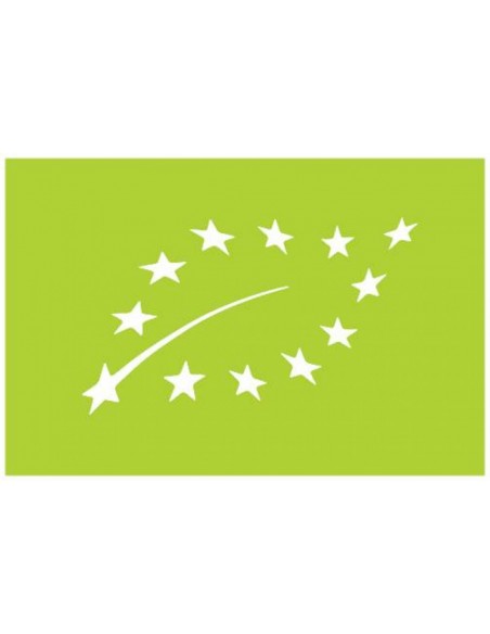 Birch Sap Ginger and Lime 1 L