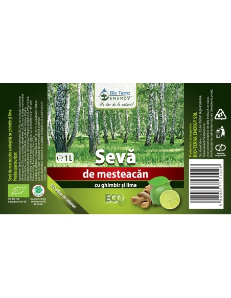 Birch Sap Ginger and Lime 1 L